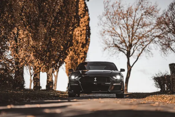 Fbet Kasino Apl Android/iOS